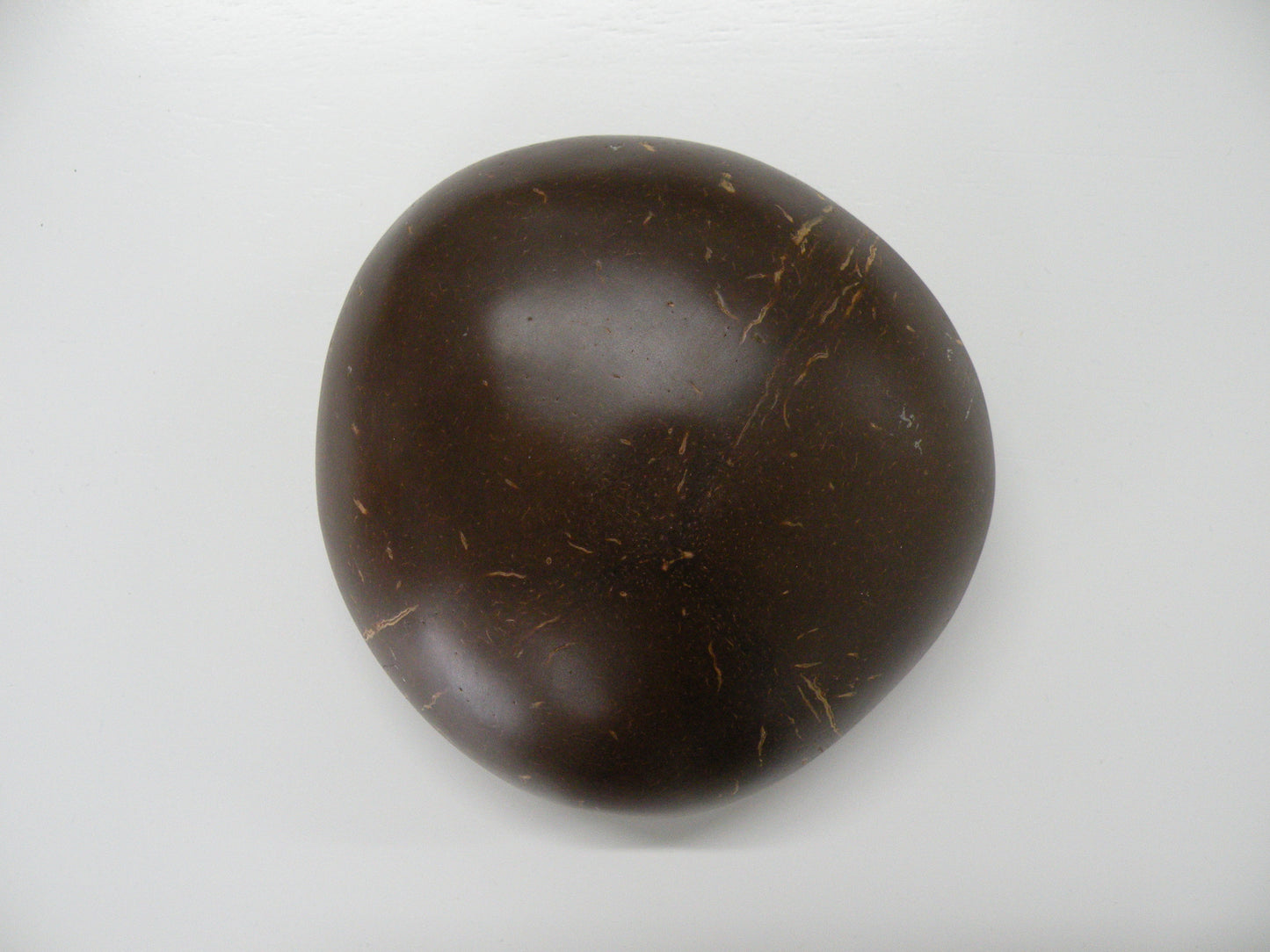 Coconut Bowl - Sea Turtle