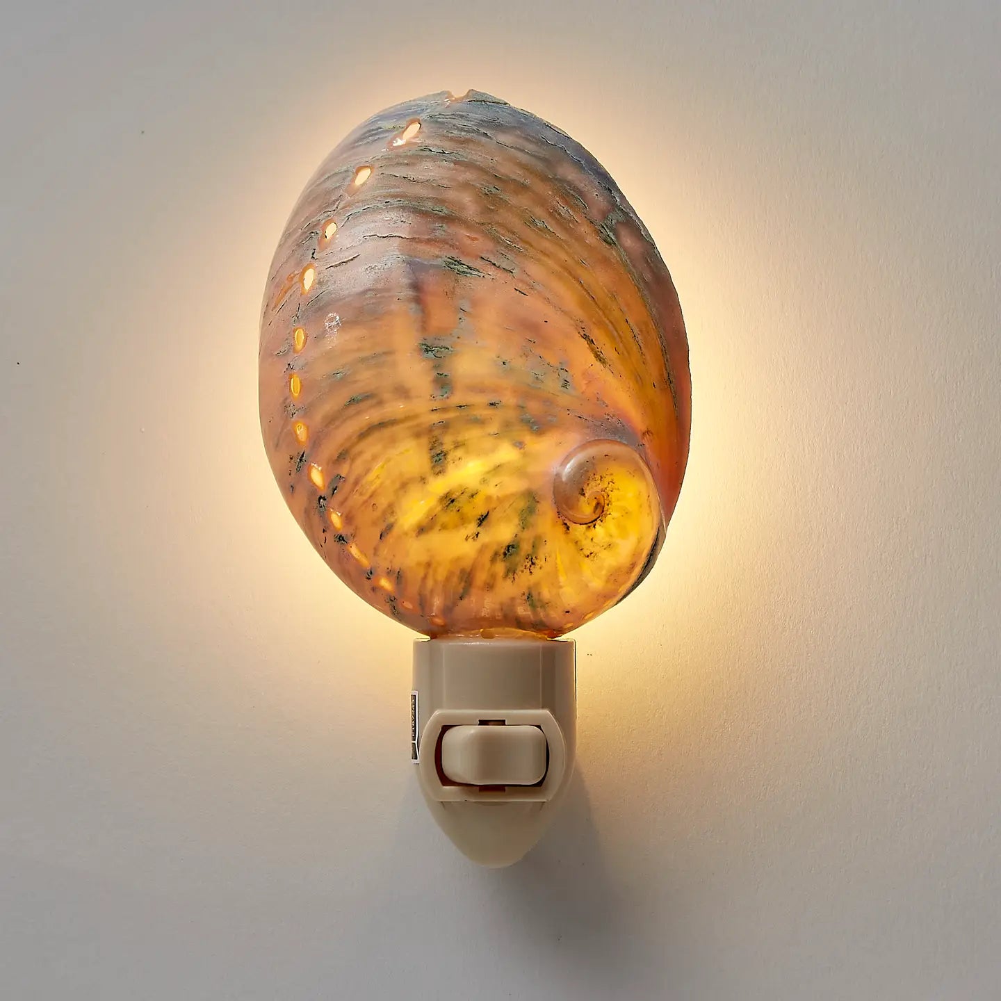 Polished Greenlip Abalone Led Boxed Night Light