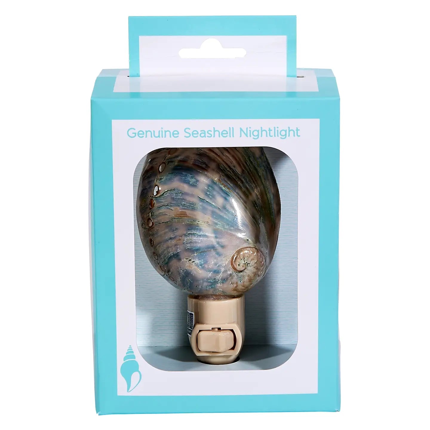 Polished Greenlip Abalone Led Boxed Night Light