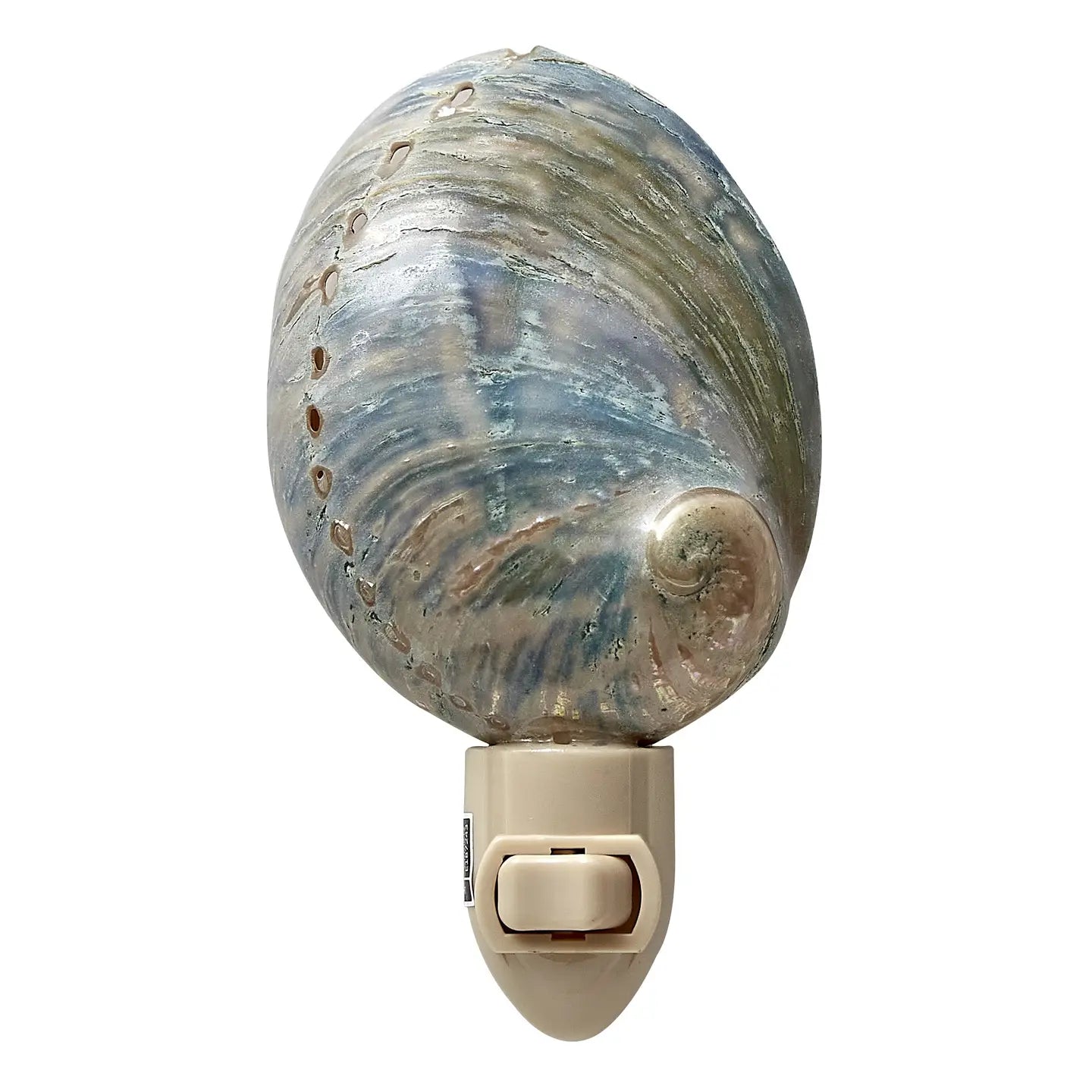 Polished Greenlip Abalone Led Boxed Night Light